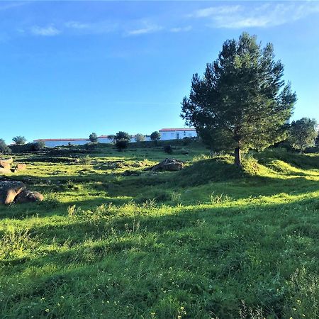 Apartamento En Roses Parking Y Piscina Comunitaria Av-54 Extérieur photo